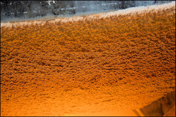 De gistfilm die de wijn beschermt tegen oxidatie in het vat.