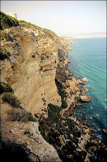 Breña y Marismas del Barbate (Natuurpark van Barbate).