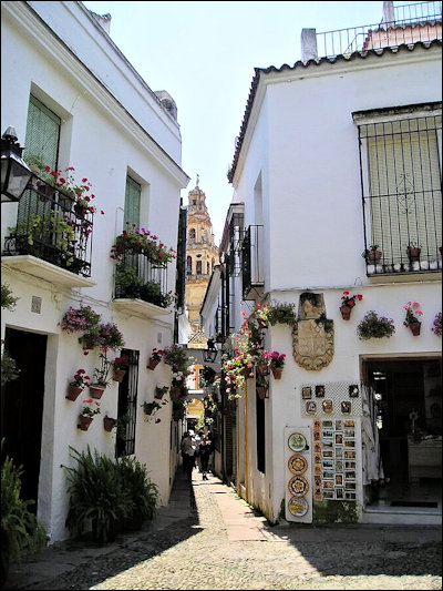 Op de achtergrond is de toren van de mezquita van Cordoba te zien